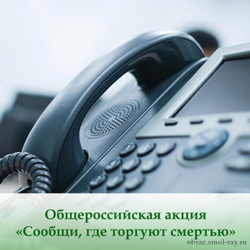 В период с 16 по 27 октября 2023 года на территории региона проходит II этап Общероссийской акции «Сообщи, где торгуют смертью».