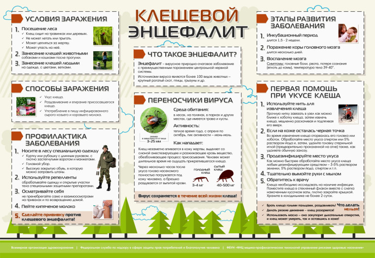 О Всероссийской горячей линии по профилактике клещевого энцефалита и инфекций, передающихся клещами.